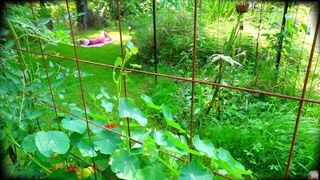 SPYING ME MASTURBATING IN MY BIKINI IN MY GARDEN - porn video